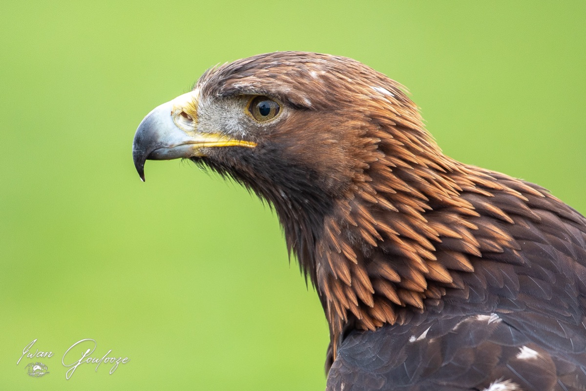  5D40253 28 november 2021 1129 19